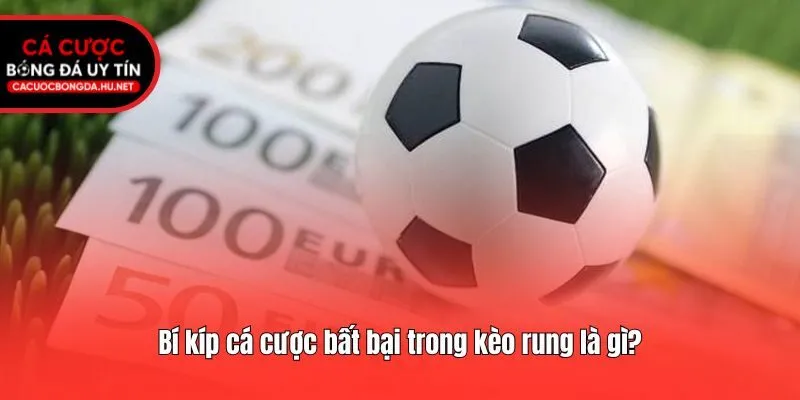 Bí kíp cá cược bất bại trong kèo rung là gì?