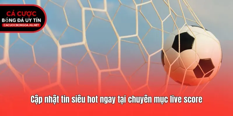 Cập nhật tin siêu hot ngay tại chuyên mục live score