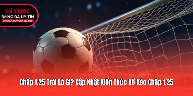 Chấp 1.25 Trái Là Gì? Cập Nhật Kiến Thức Về Kèo Chấp 1.25