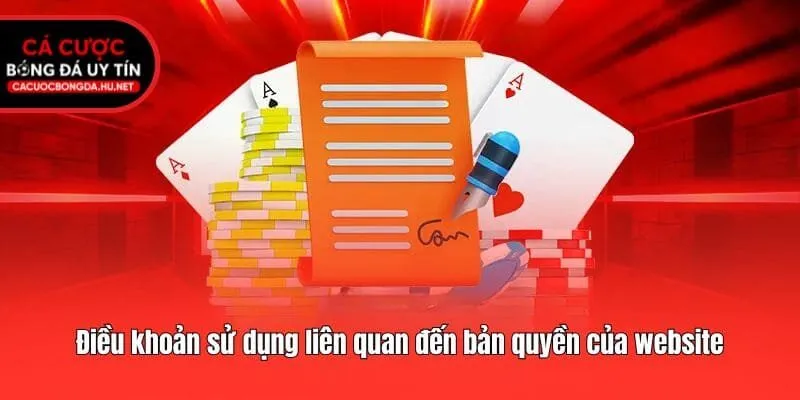 Điều khoản sử dụng liên quan đến bản quyền của website