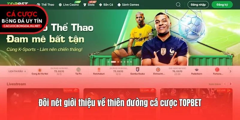 Đôi nét giới thiệu về thiên đường cá cược TOPBET
