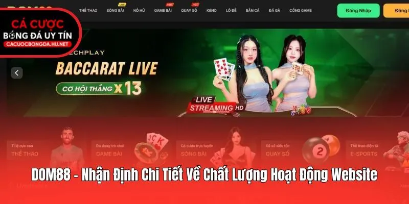DOM88 - Nhận Định Chi Tiết Về Chất Lượng Hoạt Động Website