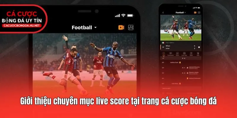 Giới thiệu chuyên mục live score tại trang cá cược bóng đá