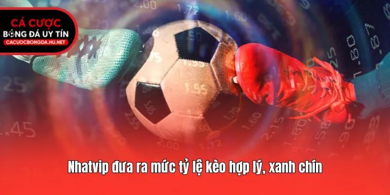 Nhatvip đưa ra mức tỷ lệ kèo hợp lý, xanh chín