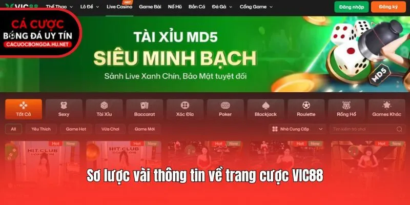 Sơ lược vài thông tin về trang cược VIC88