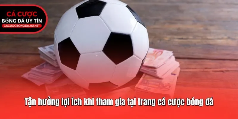 Tận hưởng lợi ích khi tham gia tại trang cá cược bóng đá