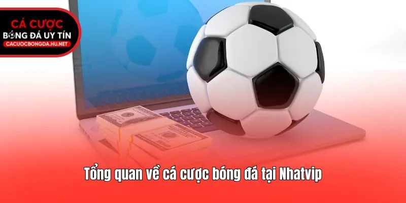 Tổng quan về cá cược bóng đá tại Nhatvip