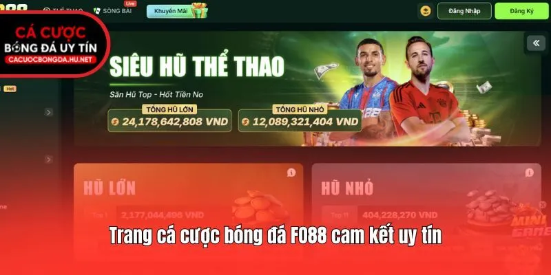 Trang cá cược bóng đá FO88 cam kết uy tín